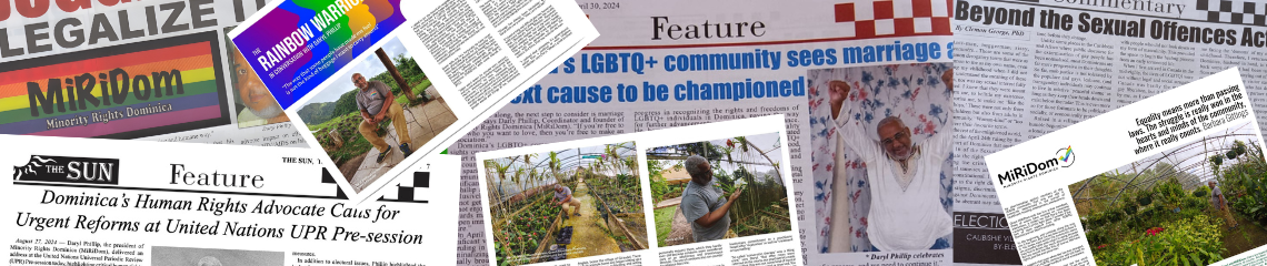 MiRiDom in the press — newspaper clippings and articles